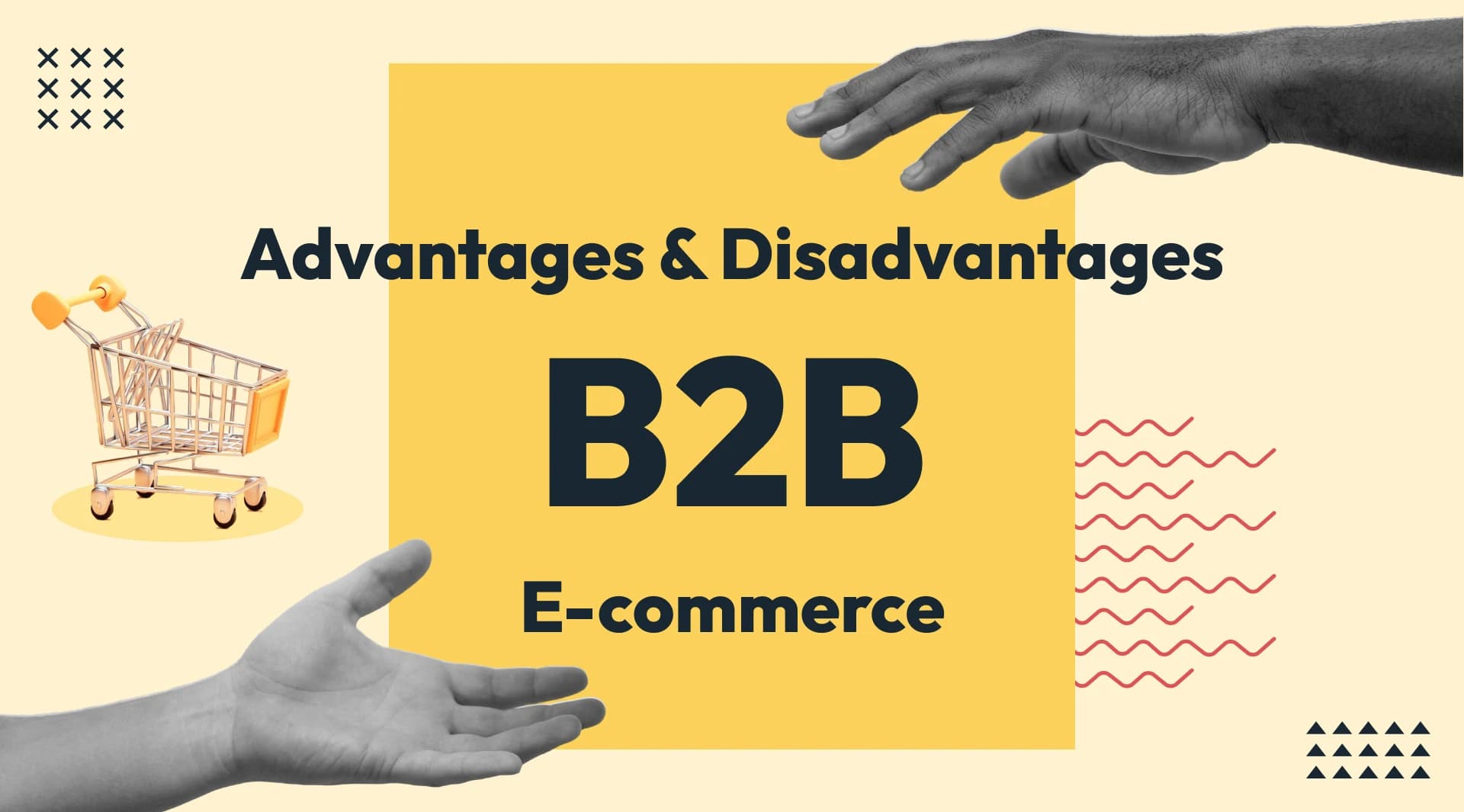 B2B E-commerce Model B2B E-commerce Model