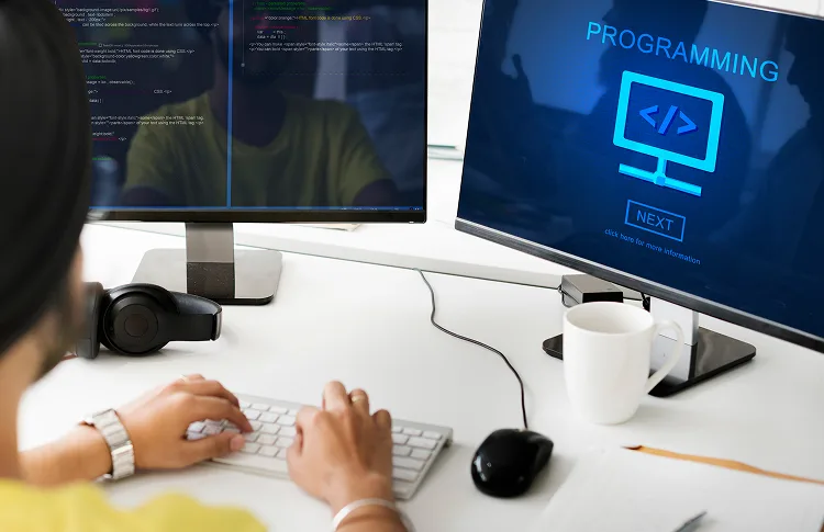 Custom Development Custom Development